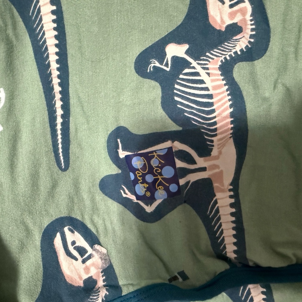 Kickee Pants Dinosaur Print Green bamboo blanket LARGE